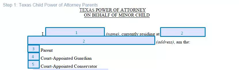 Step 1 to filling out a texas child power of attorney parents