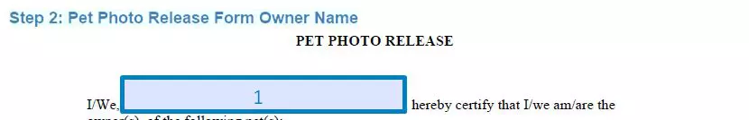 Step 2 to filling out a pet photo release form owner name
