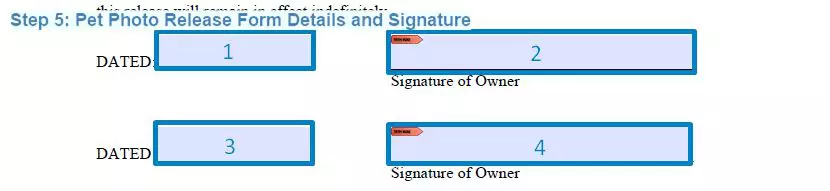 Step 5 to filling out a pet photo release example details and signature