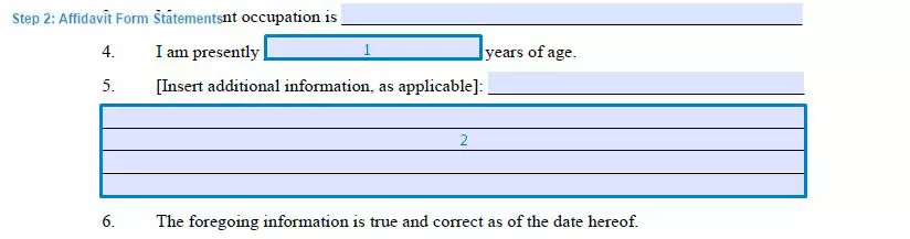 Step 2 to filling out an affidavit template statements