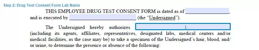 Step 2 to filling out a drug test consent template lab name